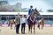 Lucy Townley takes the Walwyn Novice Championship crown at Royal Windsor Horse Show